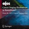 EZTNM for the AJCC Cancer Staging Manual